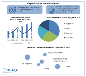 Magnesium Raw Materials Market  Industry Outlook