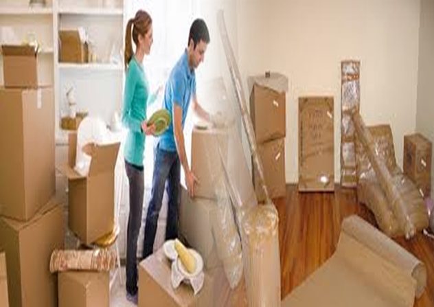 The Best Packer and Mover Service in Hisar