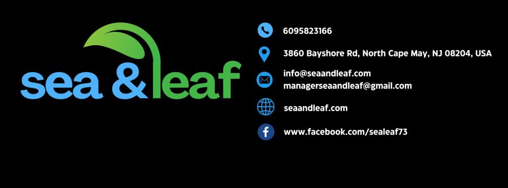 seaandleaf